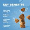 Hemp Calming Chews for Dogs Dog Calming Treats Anxiety Relief for Dogs L Theanine Chamomile Extract Valerian Root Dog Anxiety Relief for Vet Visits Tr